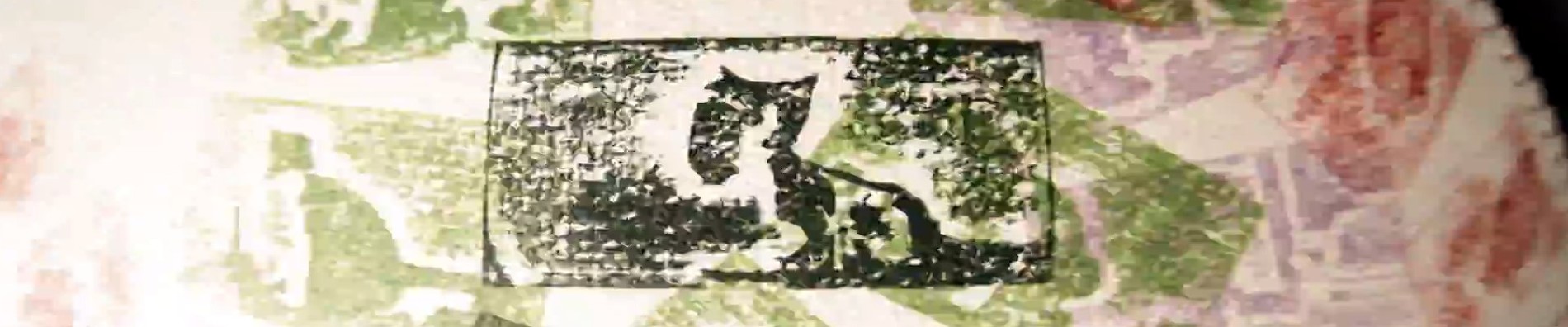 tumbled cat official artwork