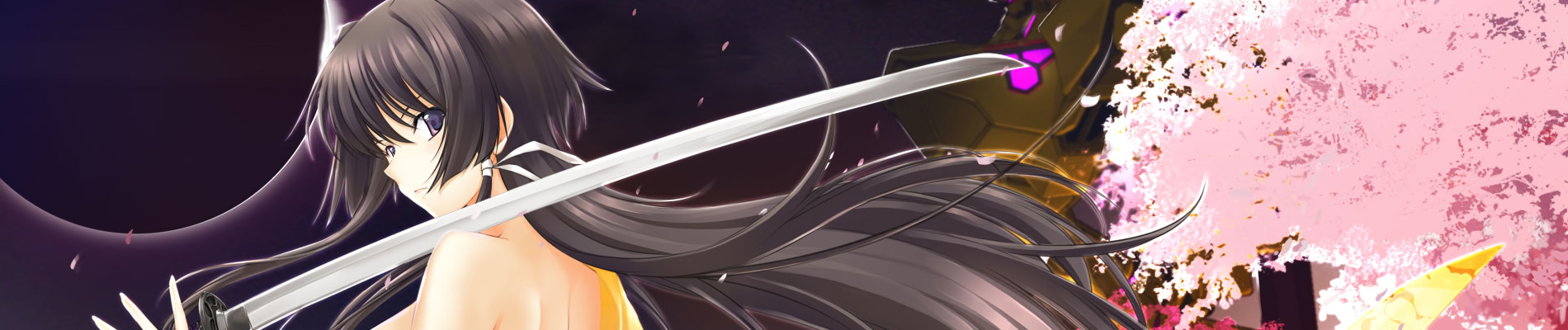 Muv-Luv Alternative: Total Eclipse official artwork