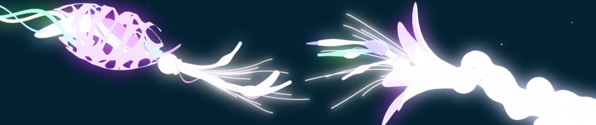 SIZQ official artwork