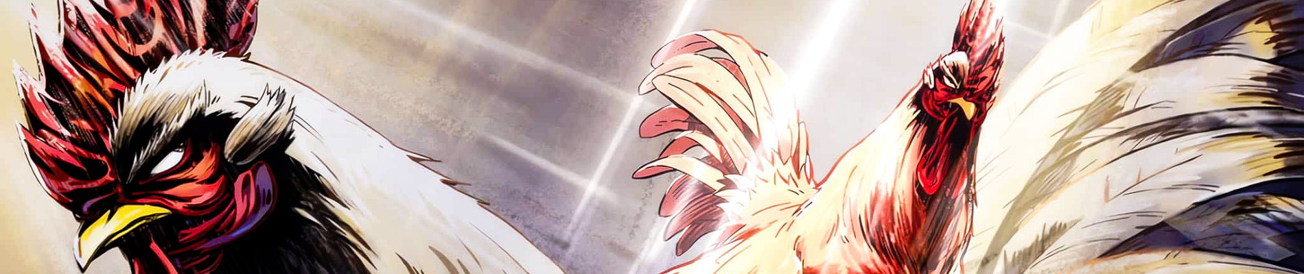Rooster Fighter official artwork