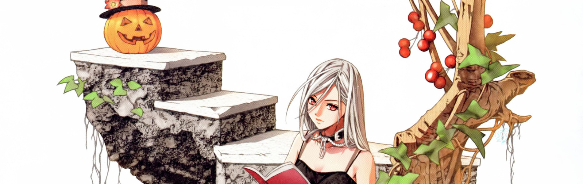 Rosario + Vampire Capu2 official artwork