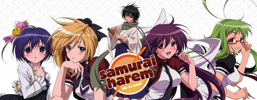 Samurai Harem official artwork