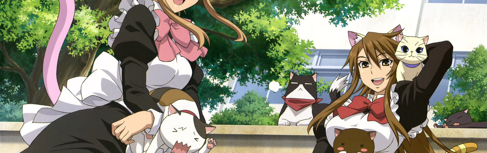Nyan Koi! official artwork