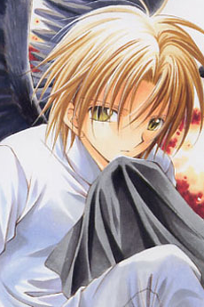 Kanone Hilbert