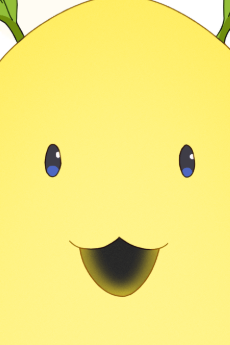 Mokotaro