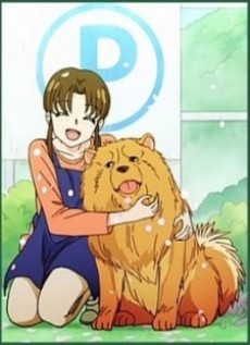 One Day A Letter Arrives from the Dog Kingdom cover art