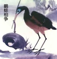 The Fight Between the Snipe and the Clam cover art