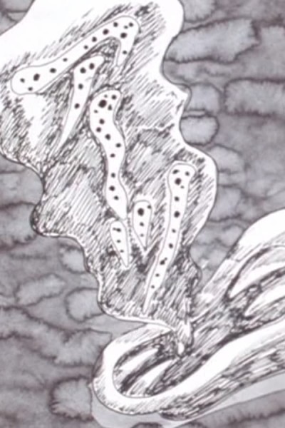 Ten Nights' Dreams cover art