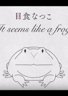 It Seems like a Frog cover art