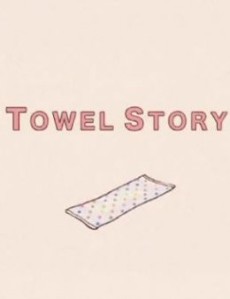 TOWEL STORY cover art