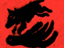 Animal Dance cover art