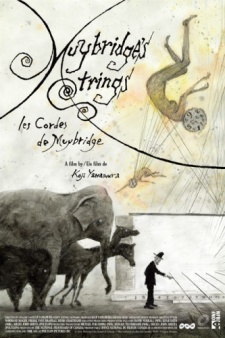 Muybridge's Strings cover art