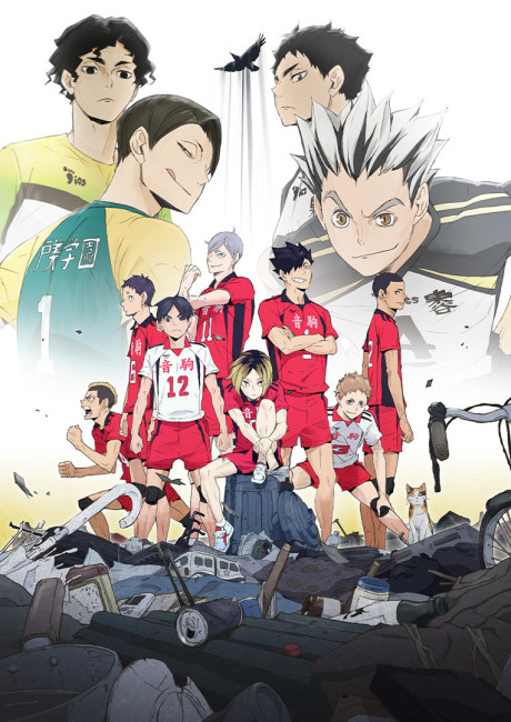 HAIKYU!! LAND VS. AIR cover art