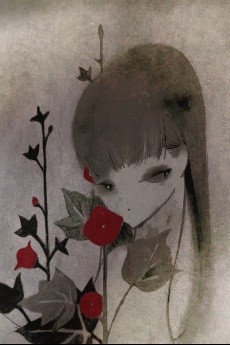 Nosferatu Maiden cover art