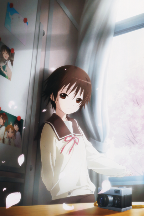 Tamayura: More Aggressive Picture Drama cover art