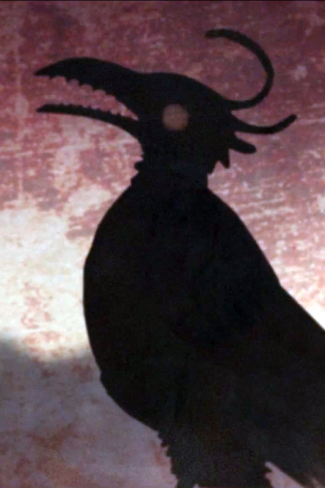 Ygg's bird cover art