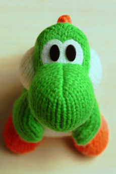 With Pochi! Yoshi's Woolly World Special Anime cover art