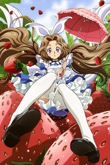 Code Geass: Nunnally in Wonderland cover art