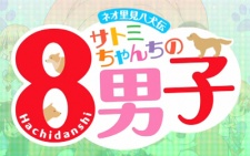 Neo Satomi Hakkenden: Satomi-chanchi no Hachi Danshi cover art