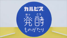 "Calpis" Hakkou Monogatari cover art