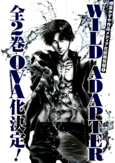 Wild Adapter cover art