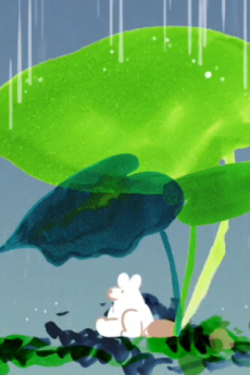 Wander in Wonder cover art