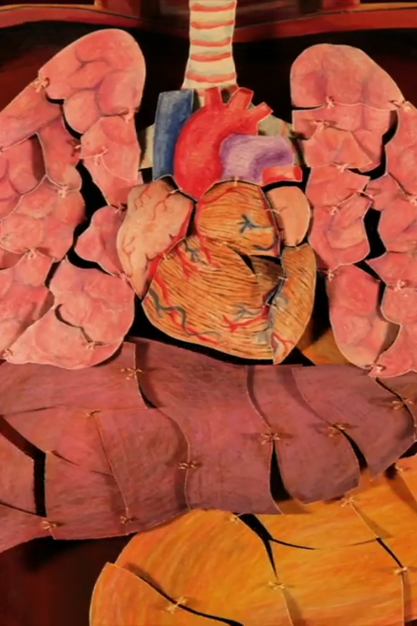 Internal Organs University cover art