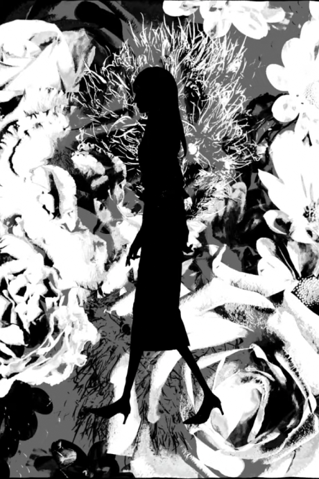 The sun and moon of youth cover art
