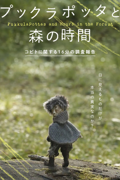 Pukkulapottas and Hours in the Forest cover art