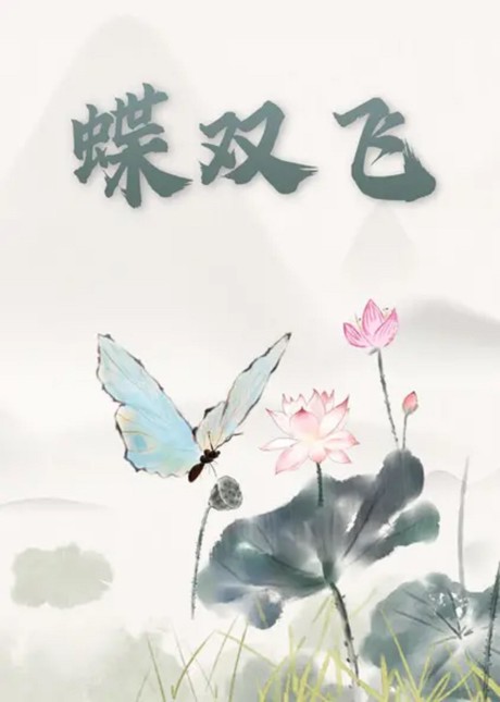 Die Shuangfei cover art