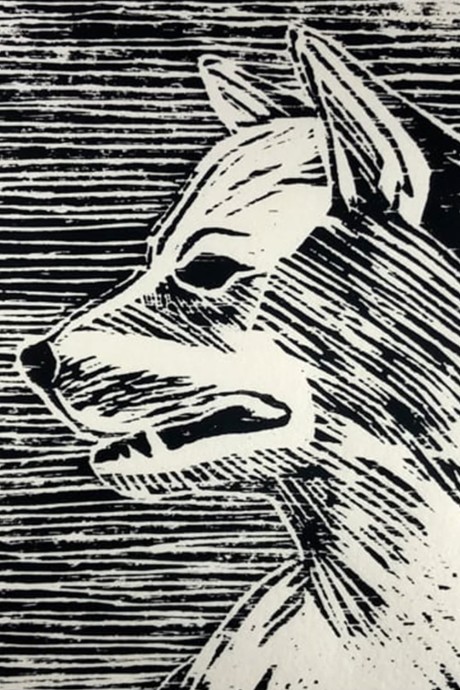 A DOG cover art