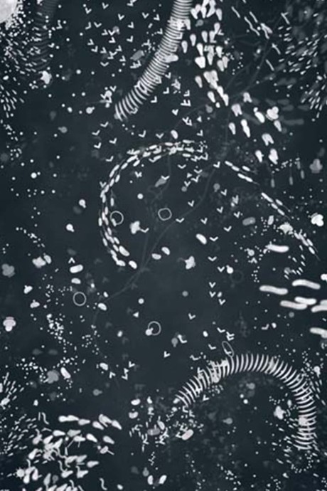 A4 Microcosm cover art