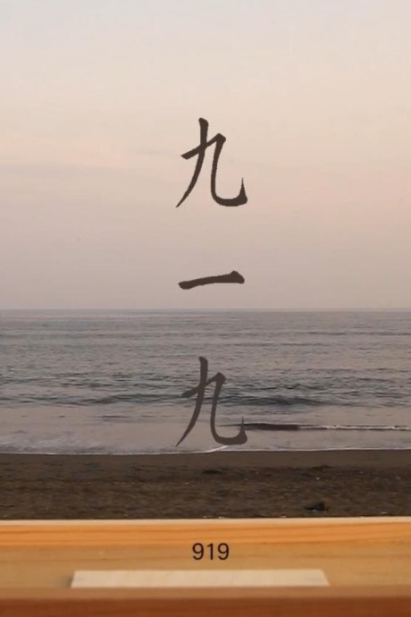 919 cover art