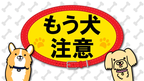 Mou Inu Chuui cover art