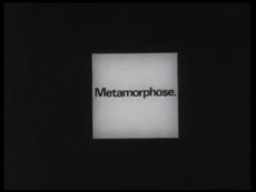 Metamorphose. cover art