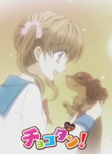 Chokotan! cover art