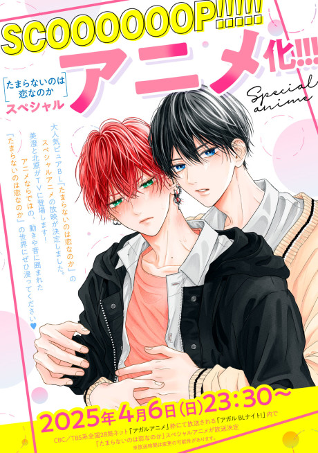 Tamaranai no wa Koi nano ka cover art
