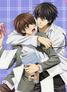 Sekaiichi Hatsukoi: Valentine-hen cover art