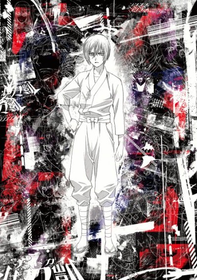 SWORDGAI The Animation cover art