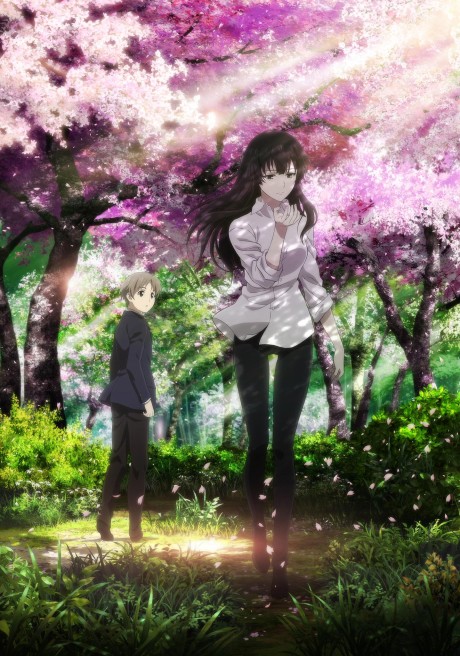 Beautiful Bones -Sakurako's Investigation- cover art