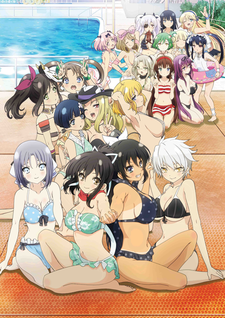 Senran Kagura: Estival Versus - Festival Eve Full of Swimsuits cover art