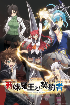 The Testament of Sister New Devil: Tojo Basara's Hard, Sweet Daily Life cover art