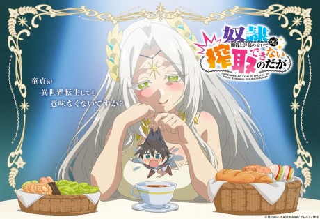 Dorei Kara no Kitai to Hyouka no Sei de Sakushu Dekinai no da ga cover art