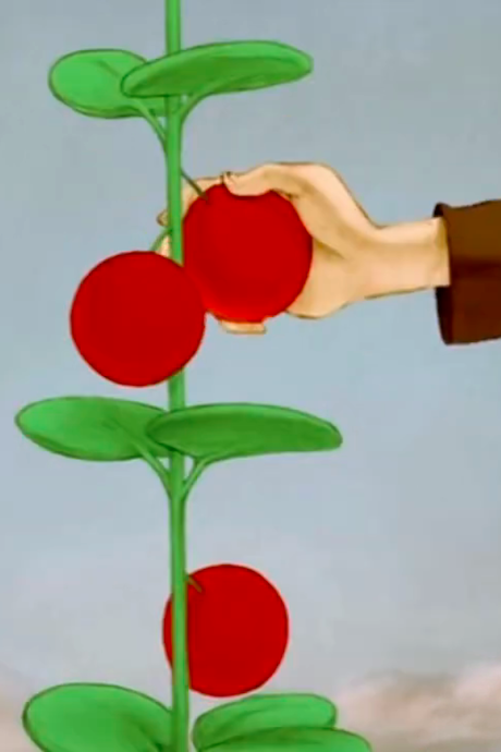 The Red Berry cover art