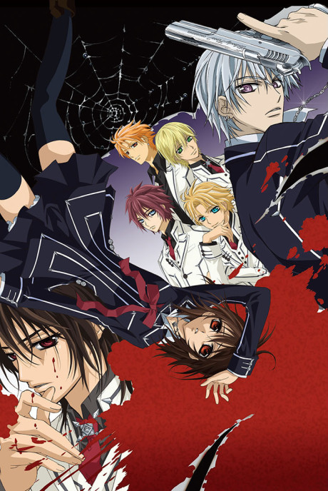 Vampire Knight cover art