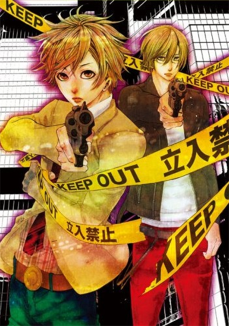 Switch cover art