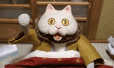 Kotatsu Cat cover art