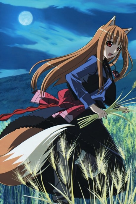 Spice and Wolf II: Wolf and the Amber Melancholy cover art