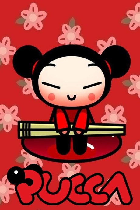 Pucca cover art