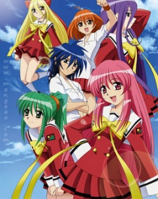 Koi Koi Seven cover art